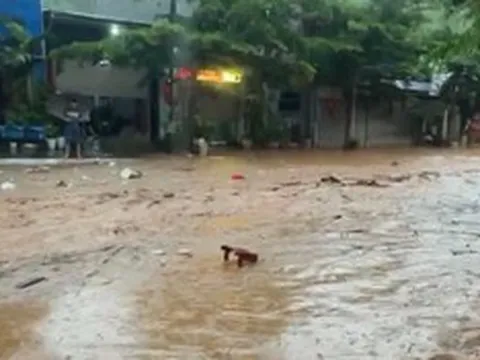 Mưa lớn dồn dập từ đêm nay (17/8), cảnh báo lũ trên các sông ở miền Bắc dâng cao