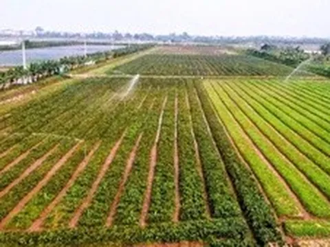 Hà Nội: Xây dựng dữ liệu đất đai đi trước một bước, tạo nền tảng quản trị hiện đại
