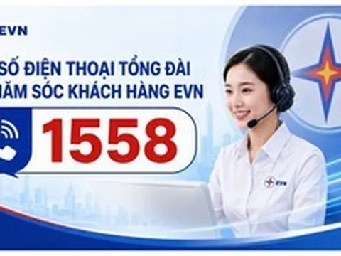 EVN chính thức vận hành tổng đài 1558 từ ngày 15/8
