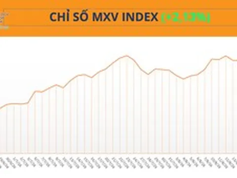 THỊ TRƯỜNG HÀNG HÓA: Sắc xanh bao phủ, MXV-Index tăng 60 điểm