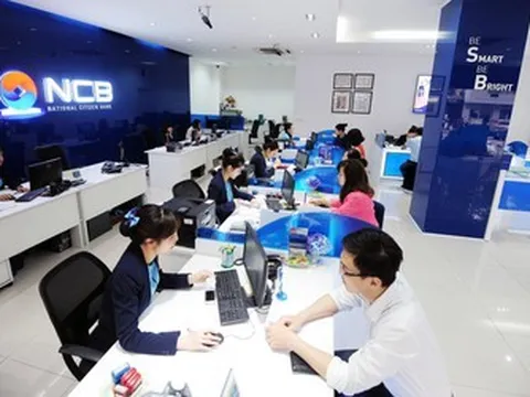NCB muốn phát hành riêng lẻ 3,3 tỷ cổ phiếu, tăng vốn lên hơn 62.000 tỷ đồng
