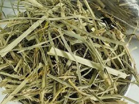 Thứ cỏ mọc dại "nhổ đi không hết" lại là vị thuốc quý giúp thanh nhiệt, mát gan