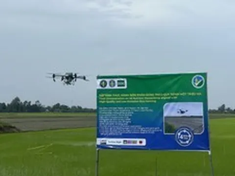 Nông dân phải là trung tâm khi nhân rộng Đề án 1 triệu ha lúa chất lượng cao, phát thải thấp