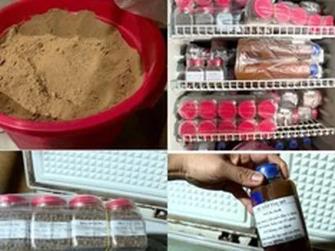 "Thần y" học hết lớp 7 tự chế thuốc chữa bệnh, lừa đảo khoảng 1 tỷ đồng