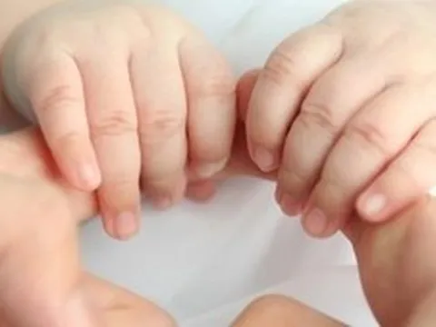 Hoàn thiện dự án Luật Nuôi con nuôi (sửa đổi)