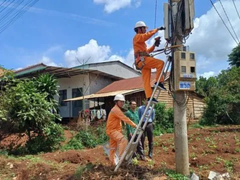 Điện lực Lâm Đồng vượt nhiều chỉ tiêu 6 tháng đầu năm, bảo đảm điện cho phát triển kinh tế - xã hội