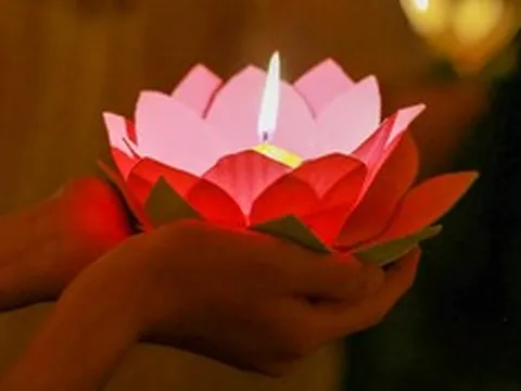 Lễ Vu Lan cài hoa hồng màu gì? Ý nghĩa từng màu hoa trên ngực áo