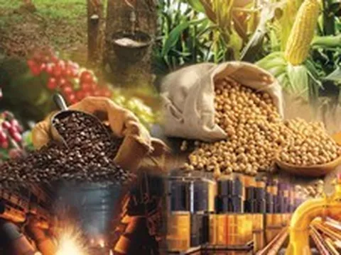 THỊ TRƯỜNG HÀNG HÓA: MXV-Index tăng 4,3%, lên mức cao nhất trong 3 tháng