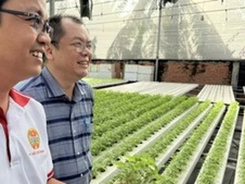 Mở rộng cánh cửa sản xuất rau an toàn cho nông hộ nhỏ