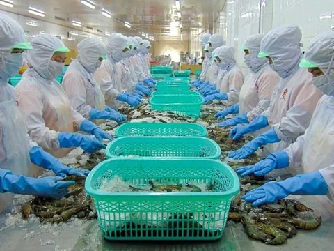 Sao Ta hoàn nhập hơn 27 tỷ đồng thuế chống bán phá giá