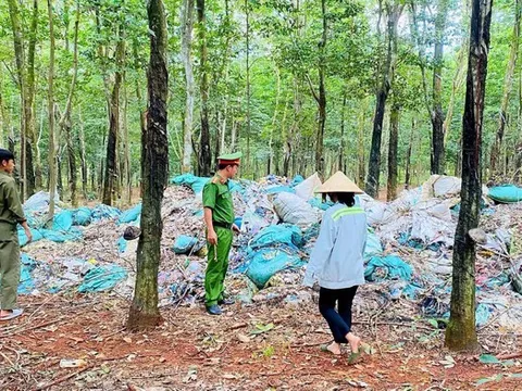Gần 8,5 tấn chất thải bị đổ trái phép trong rừng cao su ở Đồng Nai