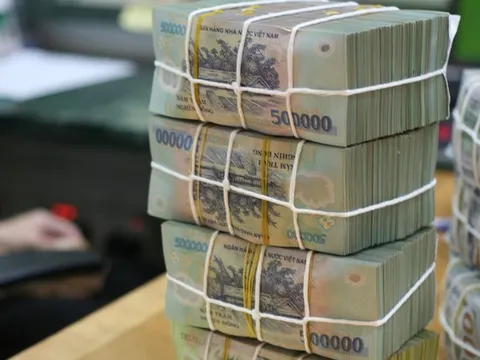 Hoàn thiện quy định về tiền lương thu hút chuyên gia nước ngoài đến làm việc