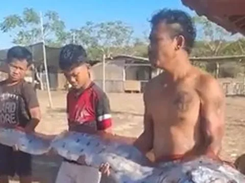 Đang đi dạo biển, người dân bỗng thấy cảnh tượng "nổi da gà" trước mặt