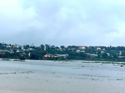 Nghĩ giữa những cơn mưa