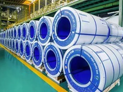 Phó Chủ tịch thường trực HĐQT Thép Nam Kim từ nhiệm