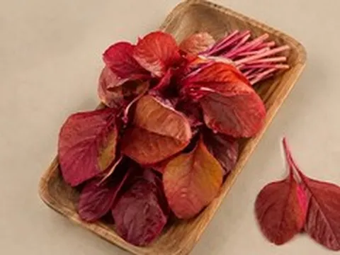 Rẻ bèo, loại rau giàu sắt ngang thịt bò, chợ Việt bán đầy: Rau gì mà bổ dưỡng đến vậy?