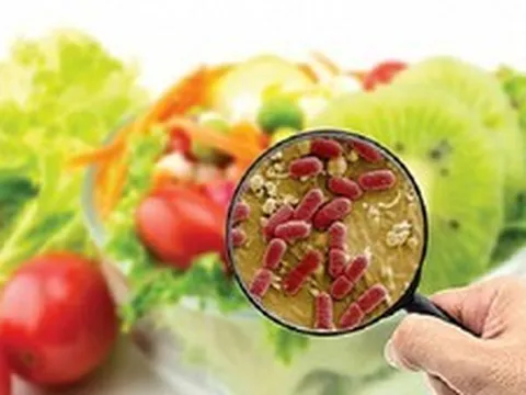 Xác minh, xử lý vụ nghi ngộ độc thực phẩm khiến 2 người tử vong tại Tuyên Quang
