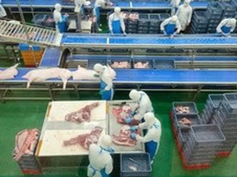 Hà Nội xóa bỏ giết mổ nhỏ lẻ, kiểm soát hơn 90.000 gia súc, gia cầm mỗi ngày