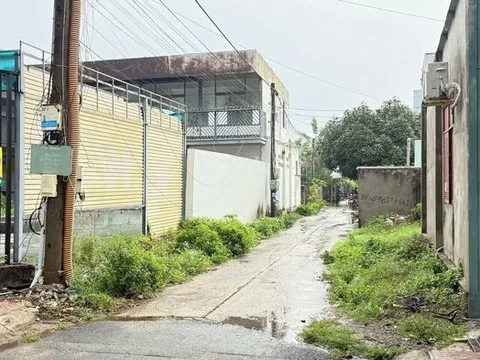 Tạm giữ nghi phạm trong vụ án mạng khiến 3 người thương vong ở Tp.HCM