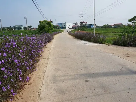 Thành quả xây dựng nông thôn mới tạo nên được những miền quê Thủ đô đáng sống