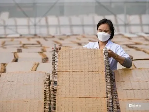 Bắc Giang: Cận cảnh sản xuất mỳ chũ Lục Ngạn từ gạo bao thai