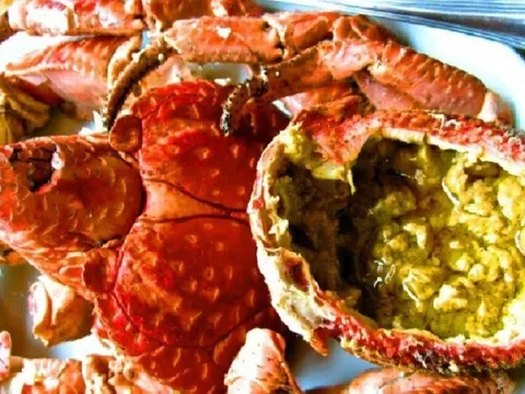 Loài cua biết leo cây, bắt chuột, nhìn kì dị nhưng lại là đặc sản