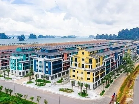 CEO Group dứt chuỗi lỗ 4 quý liên tiếp, dòng tiền kinh doanh vẫn âm