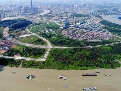 Trúng đấu giá rồi bỏ cọc - Hành vi bất khả hay chủ ý từ trước?