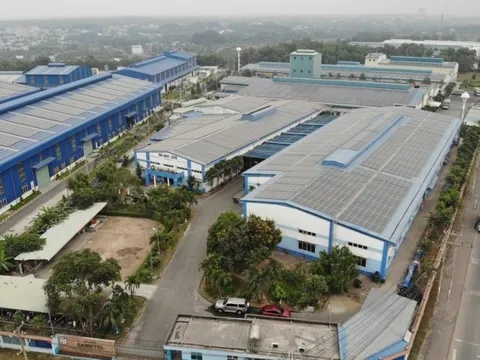Một doanh nghiệp "họ" Louis bị phạt 170 triệu đồng