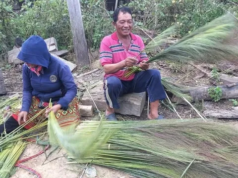 Mùa hái “lộc trời” ở Đắk Lắk
