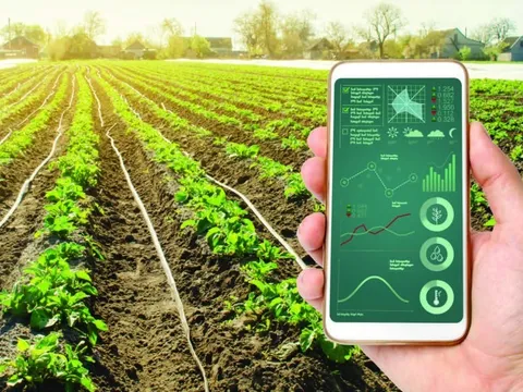 Mở rộng cơ hội kinh doanh nông nghiệp thông minh