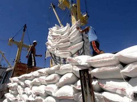 Giá gạo xuất khẩu tăng cao nhất trong những năm gần đây