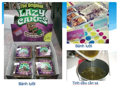 Hiểm họa từ bánh kẹo ‘tẩm’ cần sa