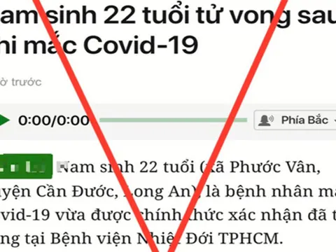 Một báo điện tử bị phạt 50 triệu đồng vì đưa tin sai sự thật