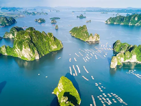 Nhất định phải thưởng ngoạn Vịnh Hạ Long – ‘Kỳ Quan Thiên Nhiên Thế Giới’ một lần trong đời