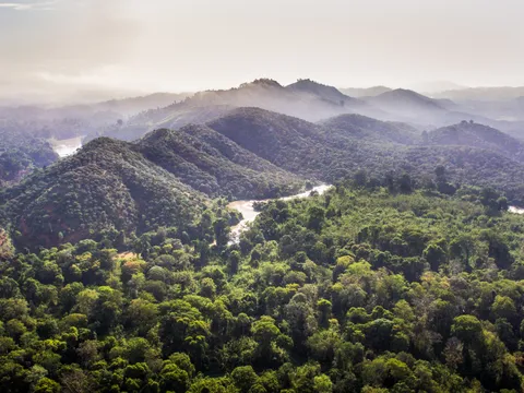 Rừng Nam Cát Tiên - Điểm du lịch ‘hấp dẫn’ ngày cuối tuấn
