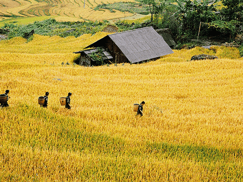 Si Ma Cai (Lào Cai) ‘điểm đến mới’ trong mùa hè này