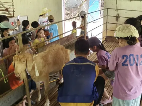 Xây dựng hệ thống 'du lịch nông thôn'