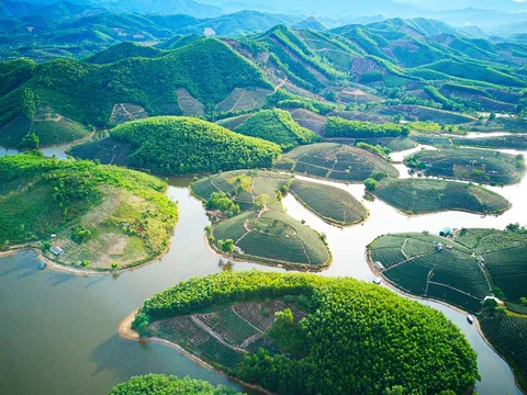 Đồi chè Thanh Chương, ‘ốc đảo xanh’ nơi miền Tây xứ Nghệ