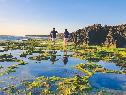 Khám phá 03 điểm san hô cổ nổi tiếng tại Ninh Thuận