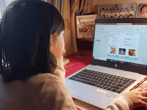 Lưu ý an toàn mạng dành cho phụ huynh khi con học online